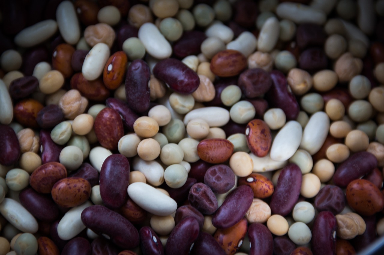 dried-beans-763158_1280.jpeg