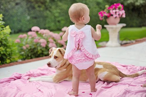 Kids & Dogs: Simple Tips to Make Their Bond Safe and Happy
