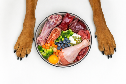 Raw Feeding for Dogs: Benefits, Risks, and Safe Practices